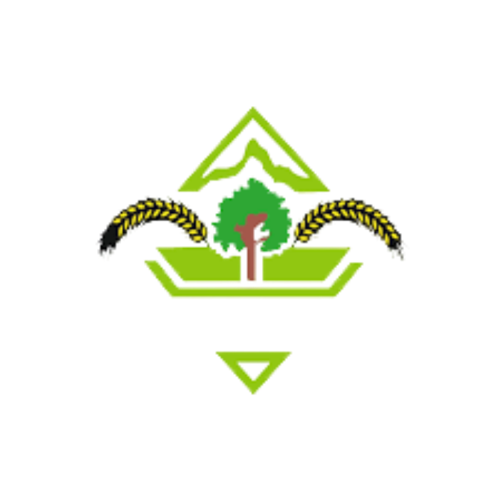 Kargı Belediyesi
